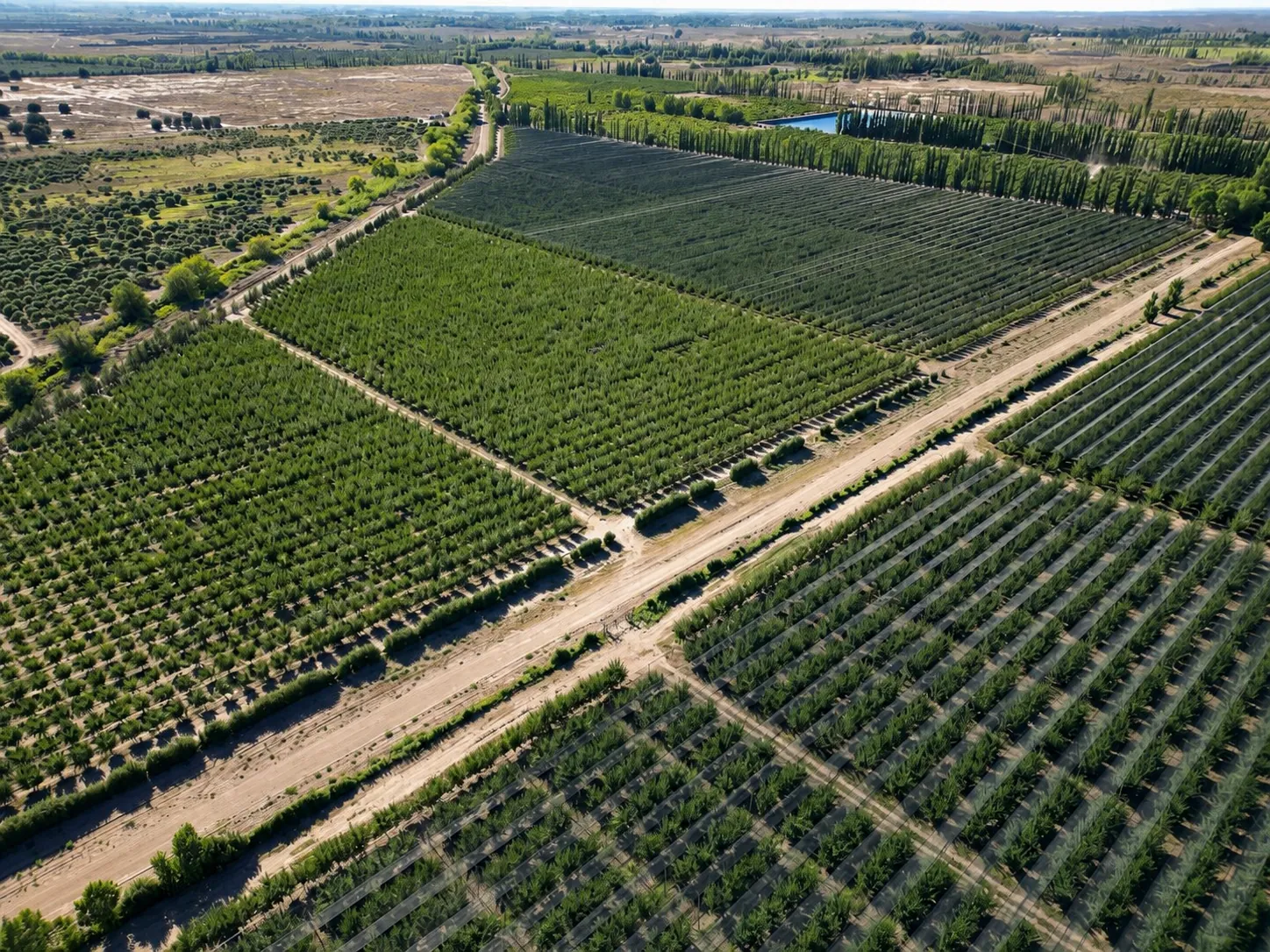 Vista aérea de parcelas de plantación
